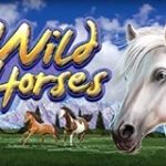 Wild Horses